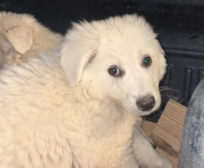 Ekran-Resmi-2026-03-10-00.02.41