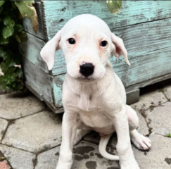 Ekran-Resmi-2026-03-10-00.02.52