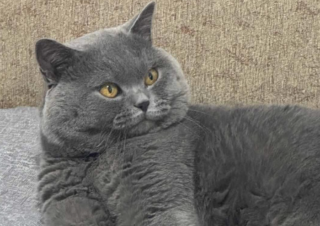 Ekran-Resmi-2026-03-10-12.08.50