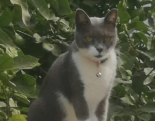 Ekran-Resmi-2026-03-10-12.10.31