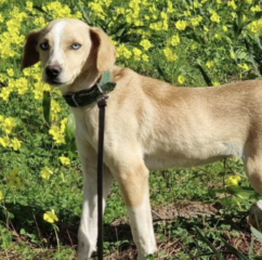 Ekran-Resmi-2026-03-10-12.14.28