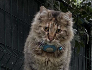 Ekran-Resmi-2026-03-10-12.21.53