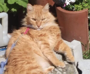 Ekran-Resmi-2026-03-10-12.22.30