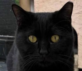 Ekran-Resmi-2026-03-10-12.25.24