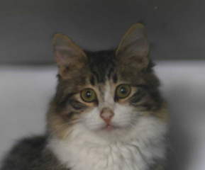 Ekran-Resmi-2026-03-10-14.26.36