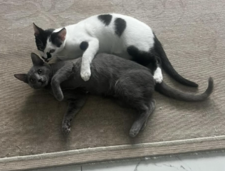 Ekran-Resmi-2026-03-10-14.27.41