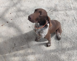 Ekran-Resmi-2026-03-10-14.29.21