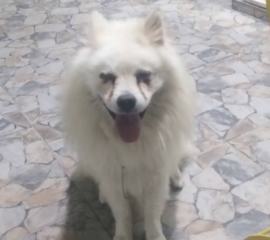 Ekran-Resmi-2026-03-10-14.32.01