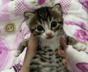 Ekran-Resmi-2026-03-10-14.44.33