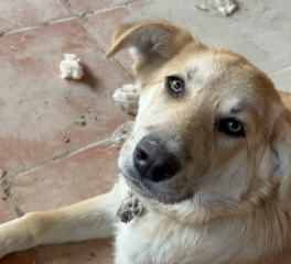 Ekran-Resmi-2026-03-10-14.45.53