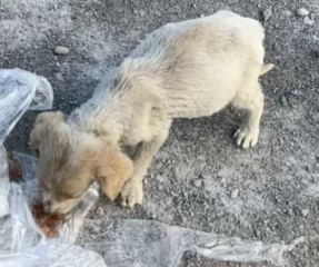 Ekran-Resmi-2026-03-10-15.00.45