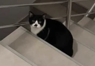 Ekran-Resmi-2026-03-10-15.18.07