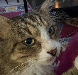 Ekran-Resmi-2026-03-10-15.19.20