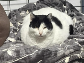 Ekran-Resmi-2026-03-10-15.20.46