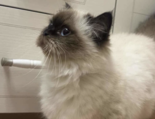 Ekran-Resmi-2026-03-10-15.35.09