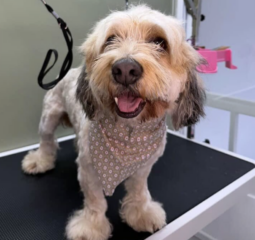 Ekran-Resmi-2026-03-10-15.37.31