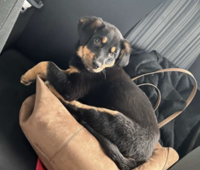 Ekran-Resmi-2026-03-10-16.18.55