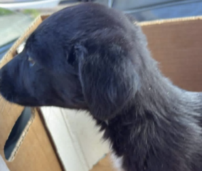 Ekran-Resmi-2026-03-10-16.20.06