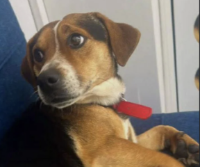 Ekran-Resmi-2026-03-11-12.48.08