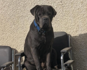 Ekran-Resmi-2026-03-11-12.49.19