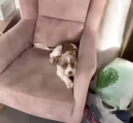 Ekran-Resmi-2026-03-11-12.50.48