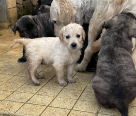 Ekran-Resmi-2026-03-11-12.51.59