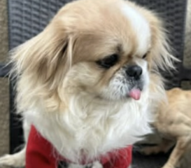 Ekran-Resmi-2026-03-11-12.53.33