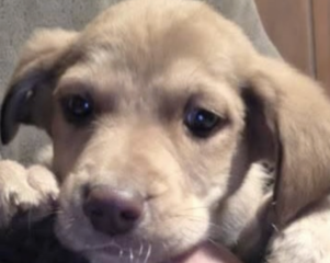 Ekran-Resmi-2026-03-11-13.01.38