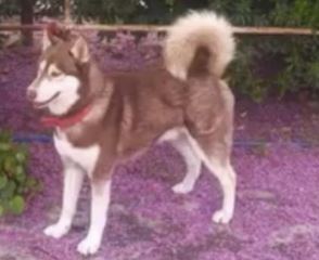 Ekran-Resmi-2026-03-11-13.06.33