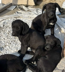 Ekran-Resmi-2026-03-11-13.08.40