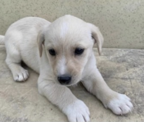 Ekran-Resmi-2026-03-11-13.10.54