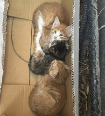 Ekran-Resmi-2026-03-11-13.14.02