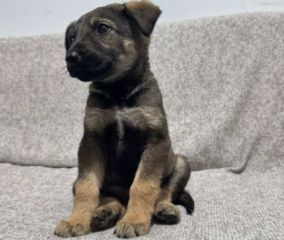 Ekran-Resmi-2026-03-11-14.05.29