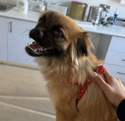 Ekran-Resmi-2026-03-11-14.14.41