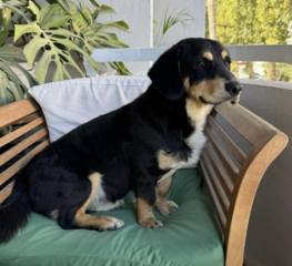 Ekran-Resmi-2026-03-12-20.37.32