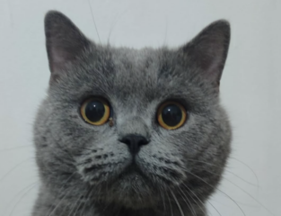 Ekran-Resmi-2026-03-12-20.53.55