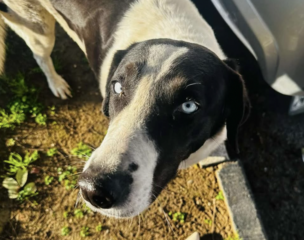 Ekran-Resmi-2026-03-12-20.55.45