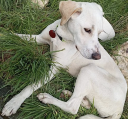 Ekran-Resmi-2026-03-13-00.45.26