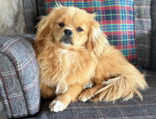 Ekran-Resmi-2026-03-13-00.53.54