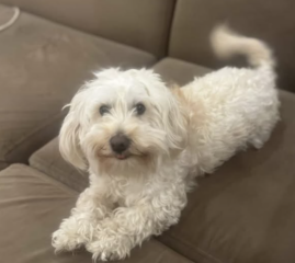 Ekran-Resmi-2026-03-13-00.57.06