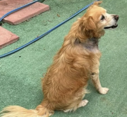 Ekran-Resmi-2026-03-13-00.59.35