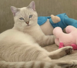 Ekran-Resmi-2026-03-13-01.00.31