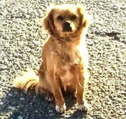 Ekran-Resmi-2026-03-31-23.19.07