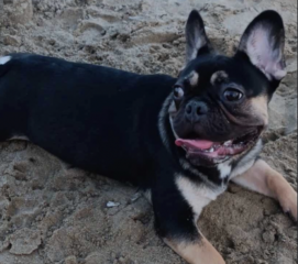 Ekran-Resmi-2026-04-01-00.10.15