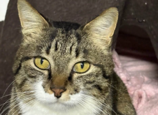 Ekran-Resmi-2026-04-01-00.31.22