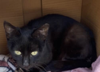 Ekran-Resmi-2026-04-01-00.33.29