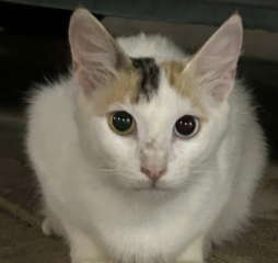 Ekran-Resmi-2026-04-09-13.51.16