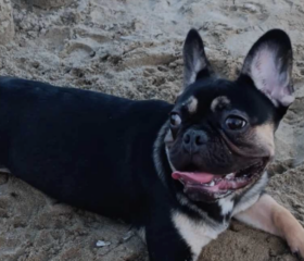 Ekran-Resmi-2026-04-09-13.52.59