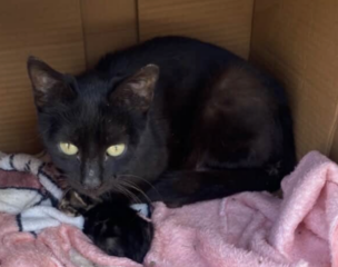 Ekran-Resmi-2026-04-09-13.55.08