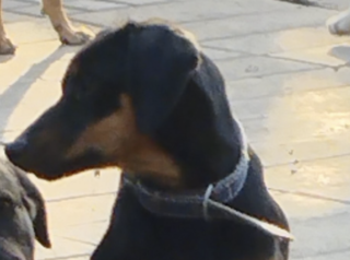 Ekran-Resmi-2026-04-09-13.59.16